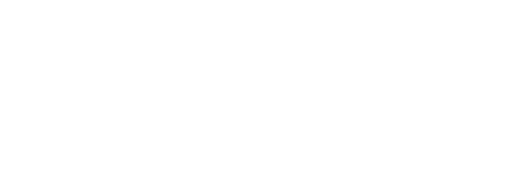 Bespoke lofts Logo